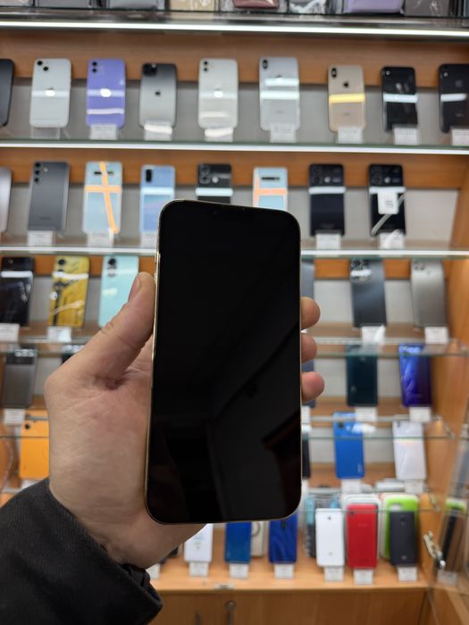 iPhone 13 Pro Max 1TB