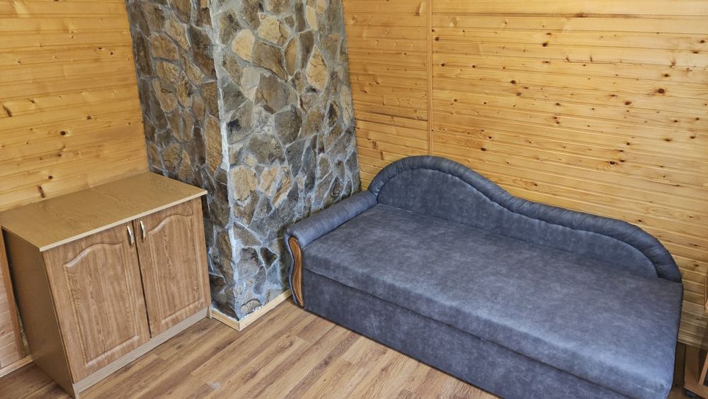 Vip apart  в Садибі з Джерельною водою біля гори, лісу та Східниці