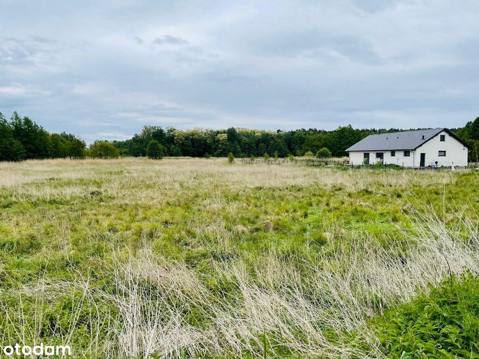 Oferta sprzedaży działek budowlanych – Świebodzin, ul. Zacisze - Widok 4