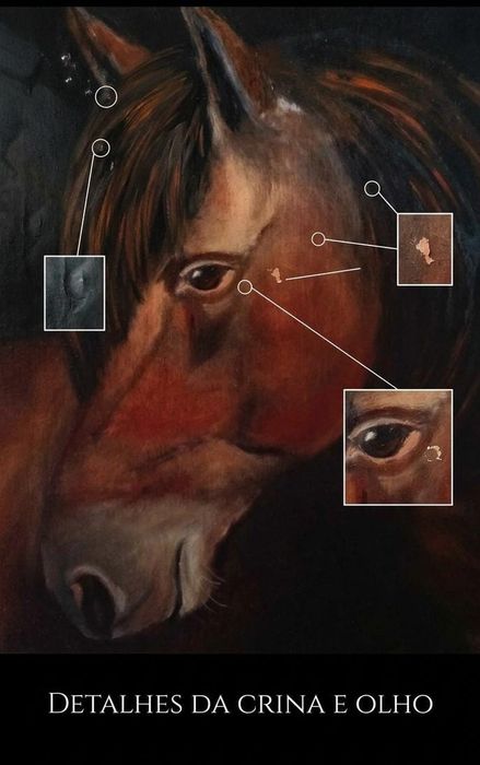 Pintura a Óleo sobre Madeira - Retrato de Cavalo (Assinado "Galma") | Peça de Acervo