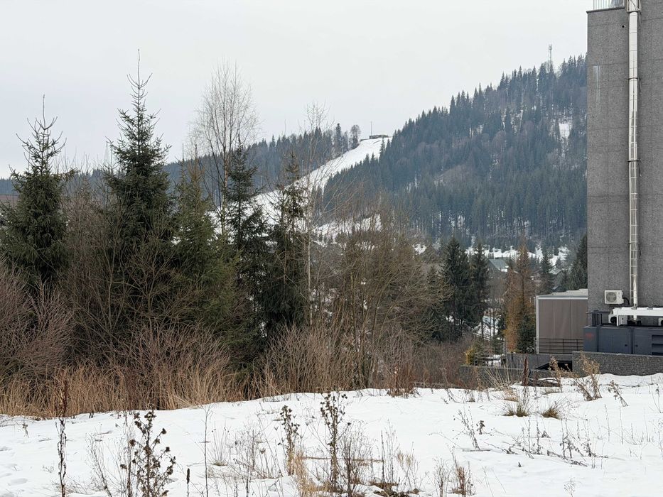 Ділянка 5 соток, с.Поляниця (територія Буковеля)