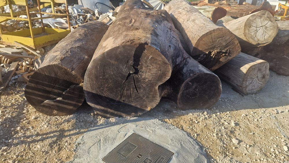 Lote de troncos paus para tampos de mesas rusticas carvalho cedro euca