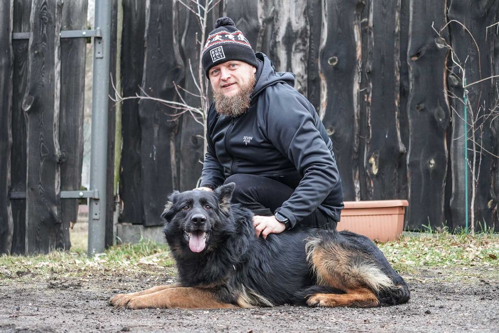 Aira - piękna suczka w typie owczarek niemiecki