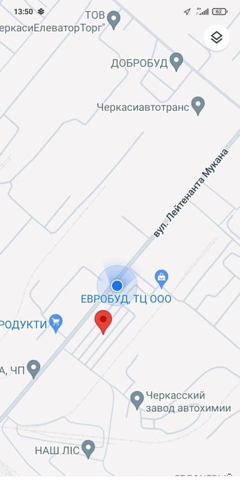 Кошенята, антистрес у дбайливі руки.