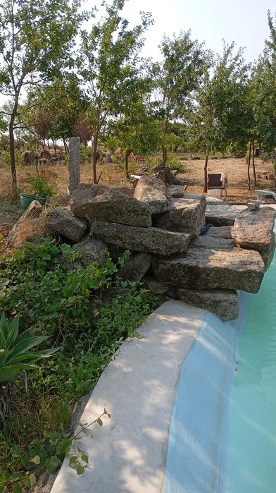 Serviços de mini giratória