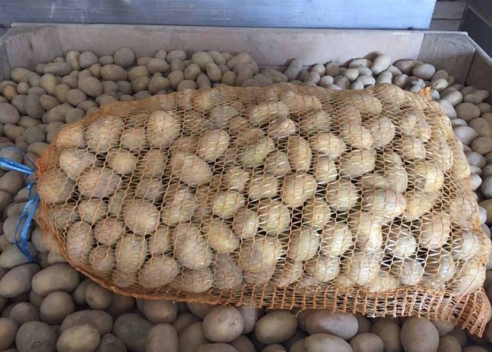 Sprzedam ziemniaki DENAR świeże po sortowane 35-50