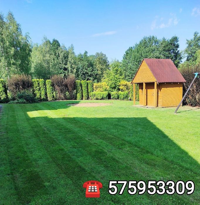 Usługi ogrodnicze Dębica i okolice