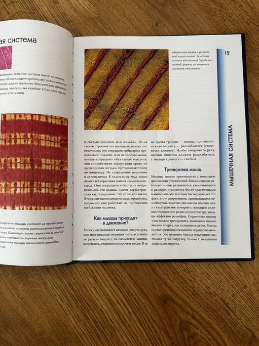 Продам атлас Анатомия человека.