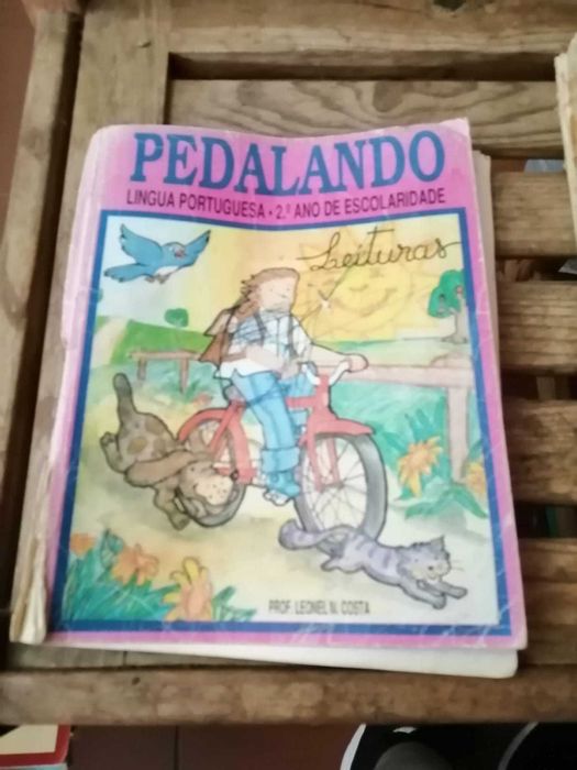 livro lingua portuguesa leituras 2 ano