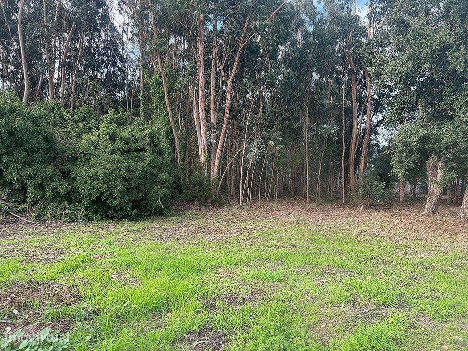 Terreno  para venda