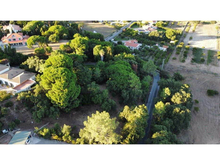 Lote para Construção em Miraventos - Vista Panorâmica sobre Setúbal...