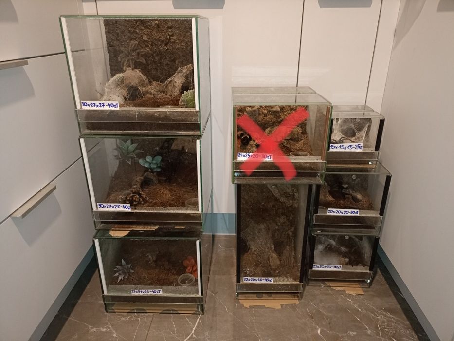 Okazja terrarium/terraria