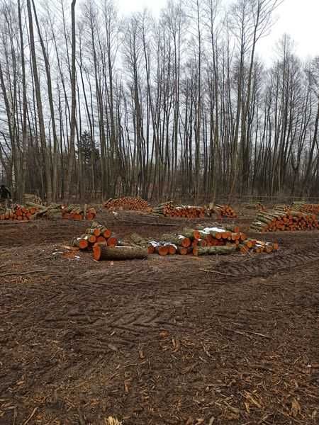 Drewno Kominkowe / Opałowe OLCHA , OWOCOWE pocięte / połupane do pieca