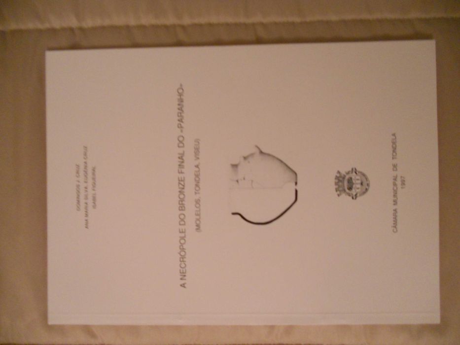 A Necrópole do bronze final do "Paranho"