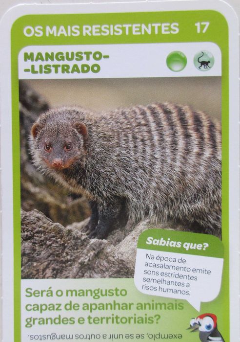 Super Animais 1 - - - Cromos - Cartas Soltas Pingo Doce - - - - Cromos