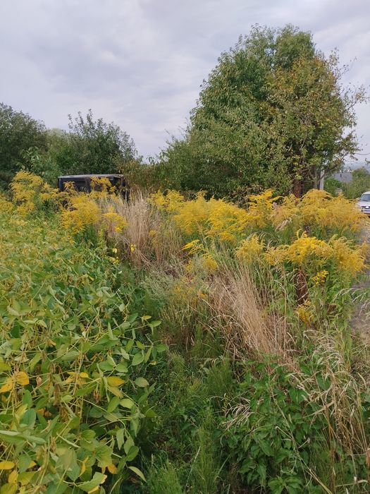 Земельну ділянку 11 2 сотки