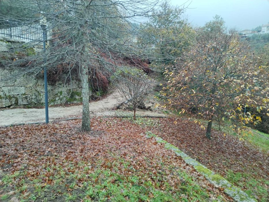 casa isolada na natureza sem vizinhos a