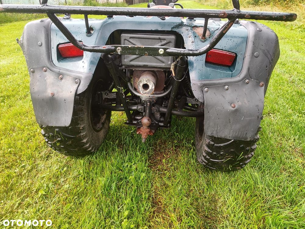 Suzuki Kingquad - 7