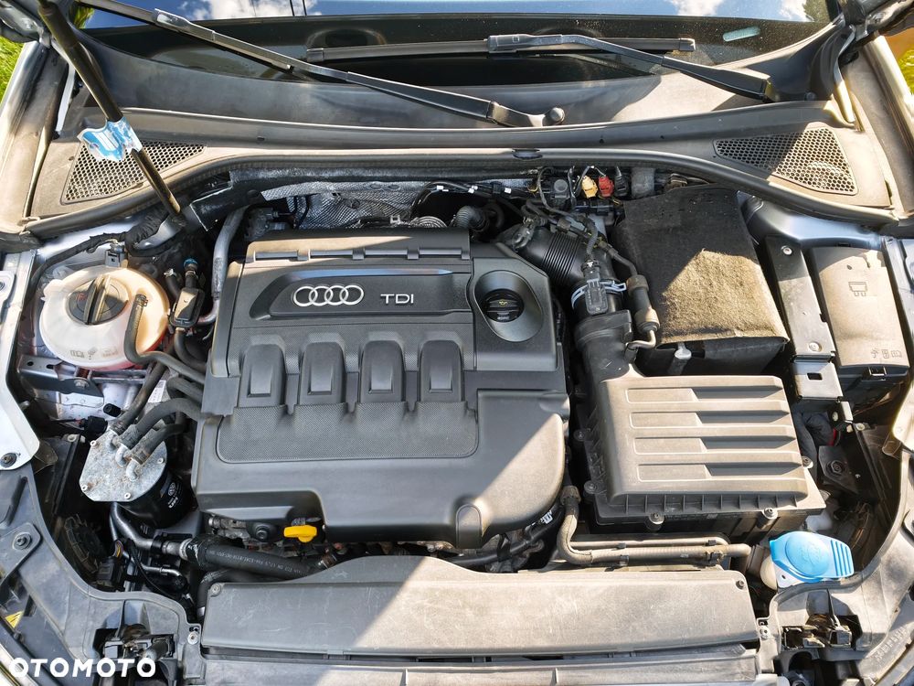 Audi A3 3-drzwiowe 1.6 TDI - 16