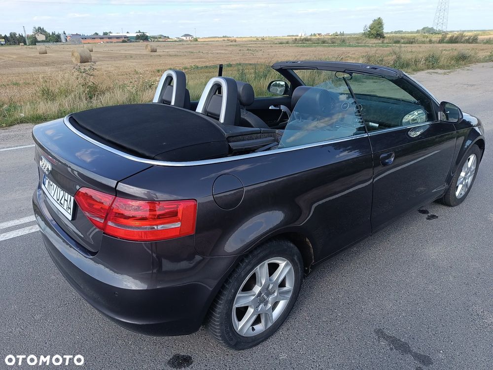 Audi A3 Cabrio 1.9 TDI DPF Ambition - 14
