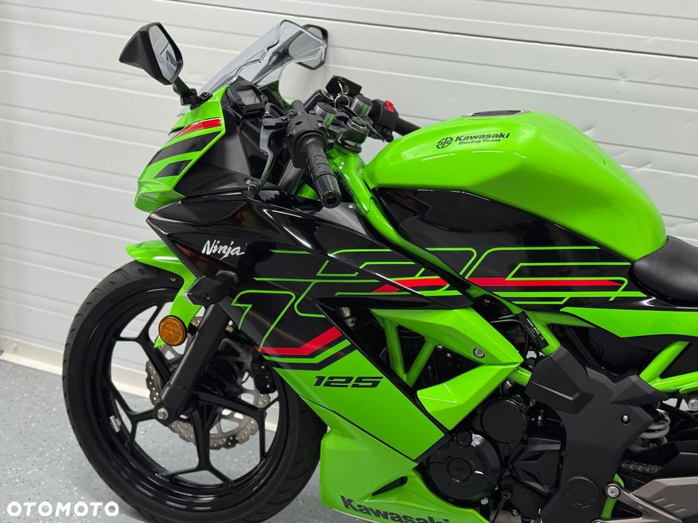 Kawasaki Ninja - 28