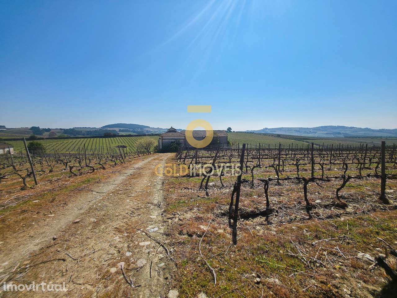 Quinta  Venda em Alijó,Alijó - Grande imagem: 3/16