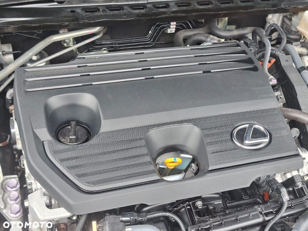 Lexus ES 300h Omotenashi - 5