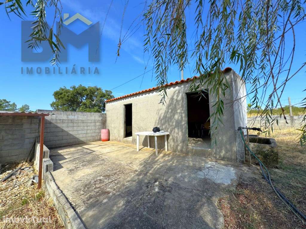 Quintinha com 3500m2 perto de Castelo Branco - Grande imagem: 2/23