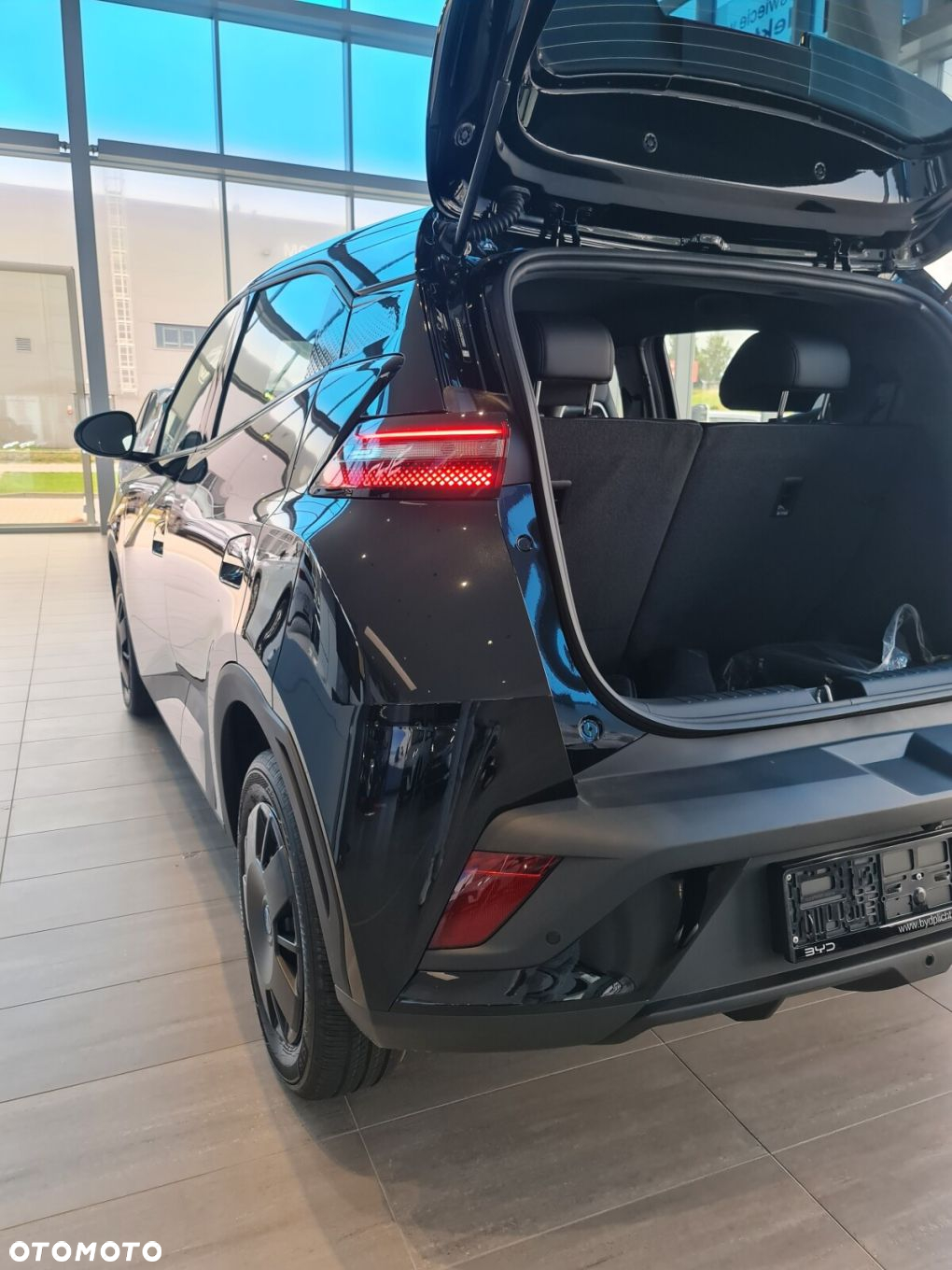 BYD Dolphin Surf - 6