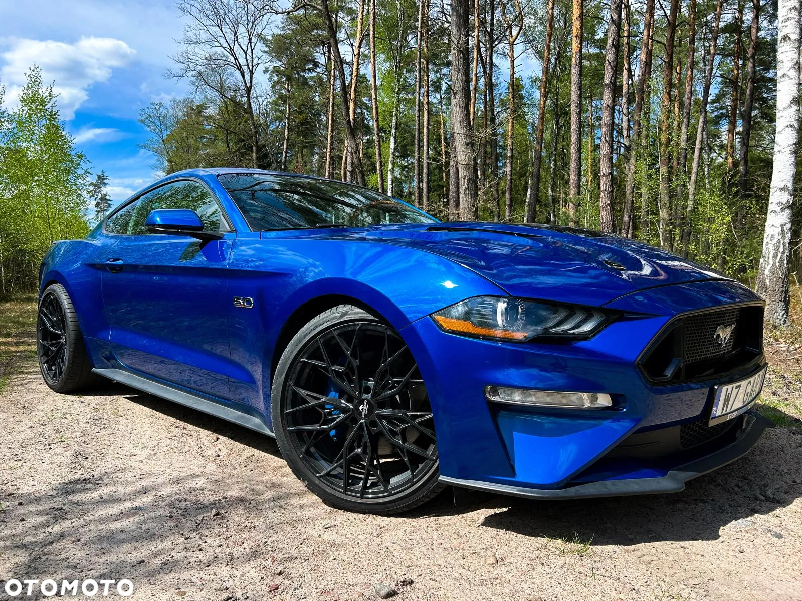 Ford Mustang Fastback 5.0 Ti-VCT V8 MACH1 - 2