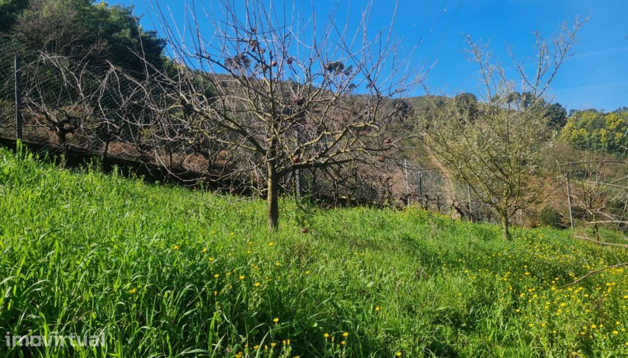 Venda Moradia V2, Santa Marinha do Zêzere, Baião - Grande imagem: 2/29