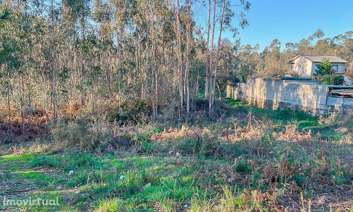 Terreno 12.000m² - Grimancelos - Grande imagem: 2/8