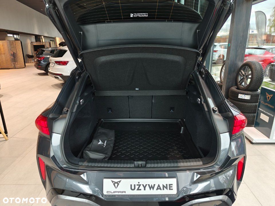 Cupra Terramar - 14