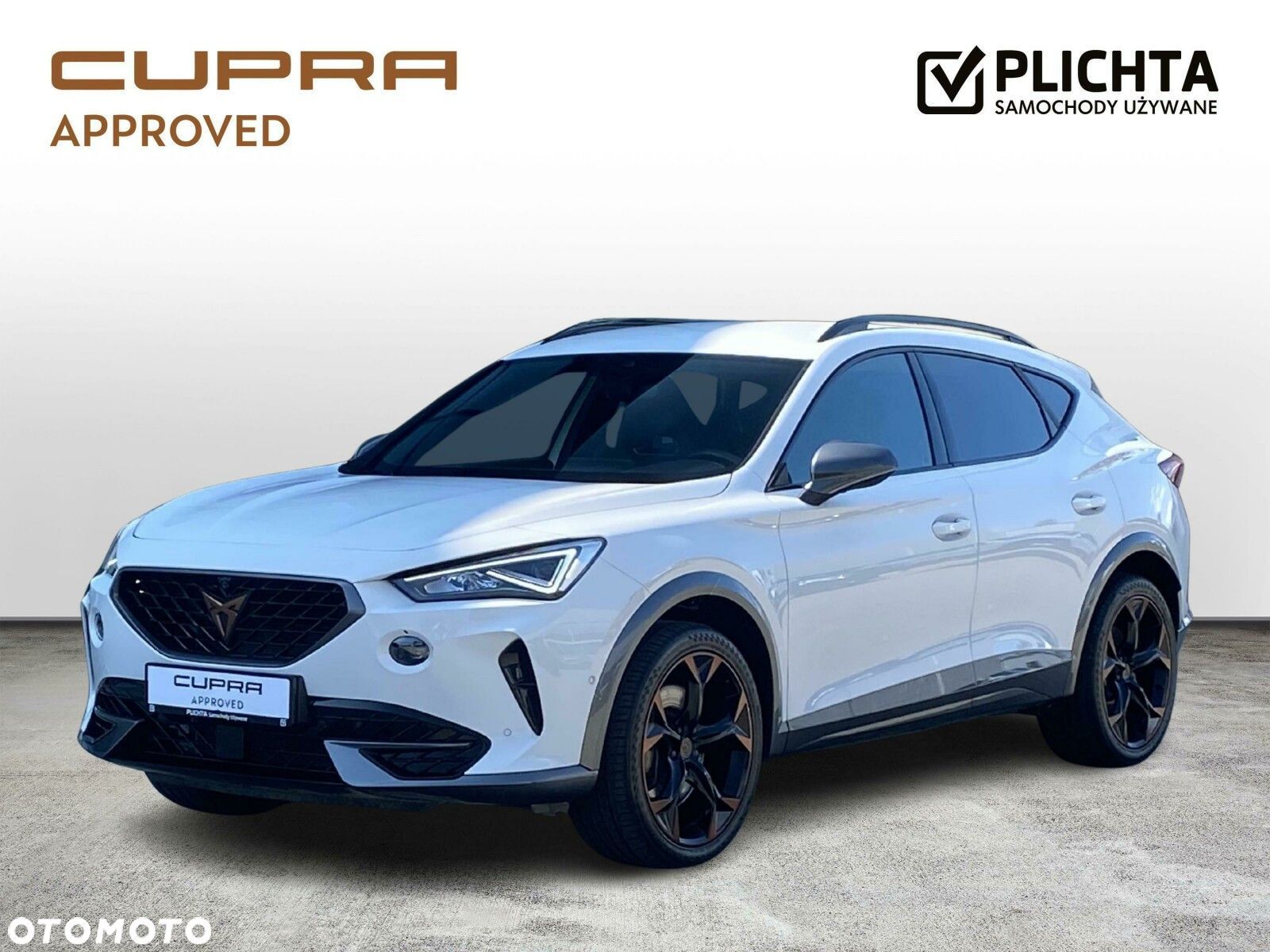 Cupra Formentor 2.0 TSI 4Drive VZ DSG - 1