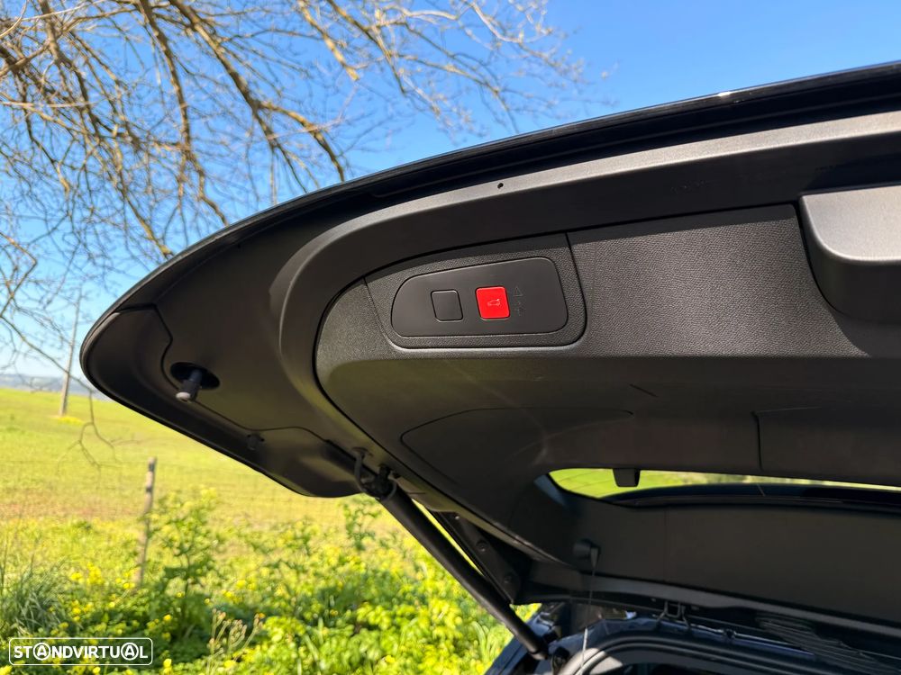 DS DS7 E-Tense Performance Line+ EAT8 - 19