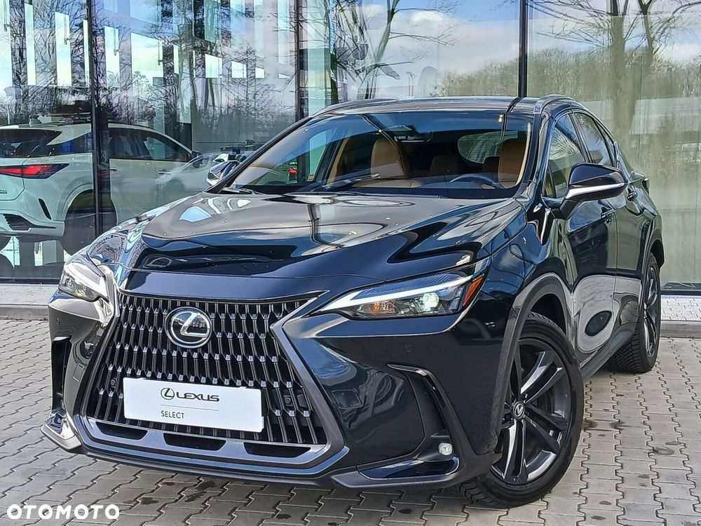 Lexus NX - 10