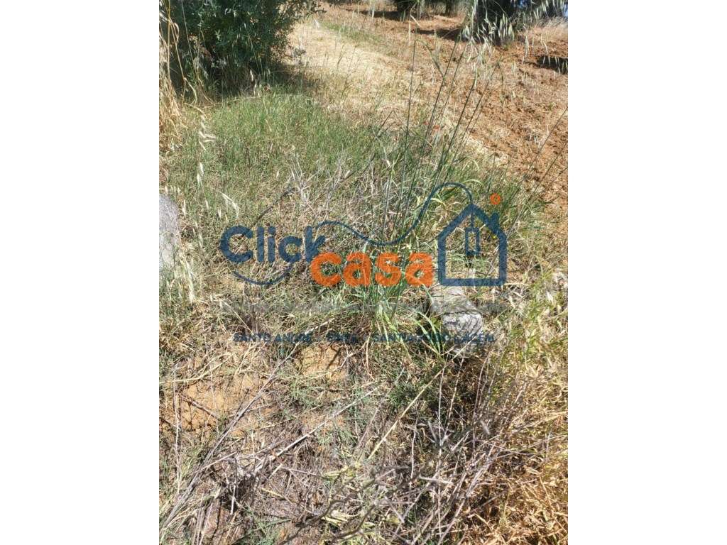 Terreno Rústico - Grande imagem: 5/11