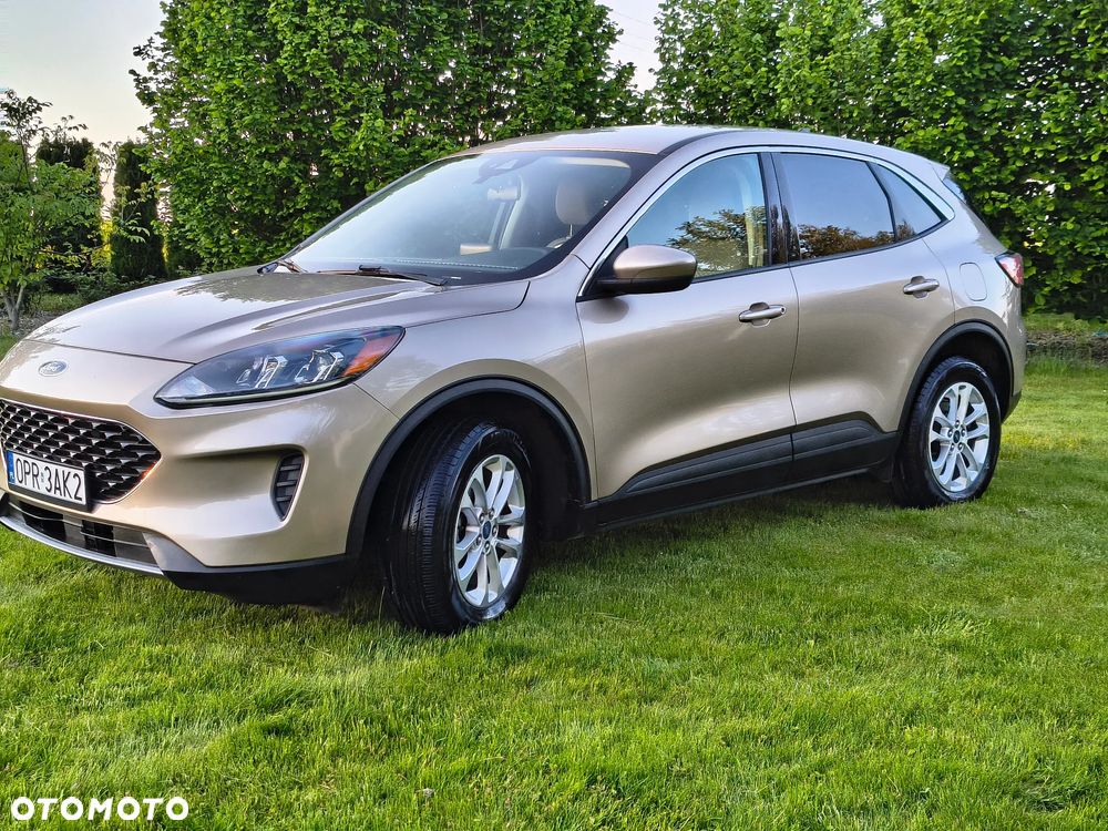 Ford Escape - 12