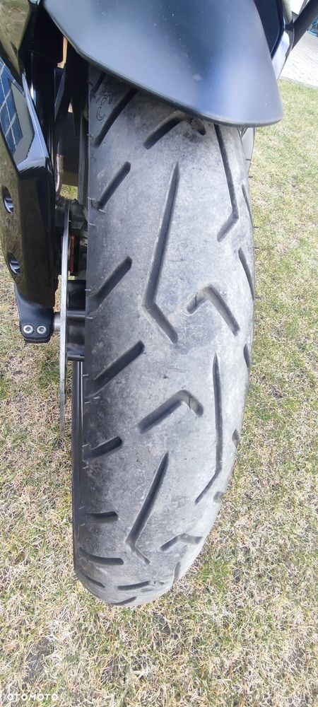 Triumph Tiger - 11