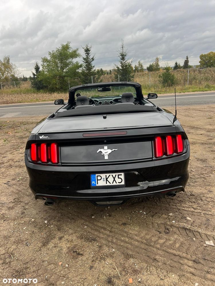 Ford Mustang 5.0 Ti-VCT V8 Black Shadow Edition - 9