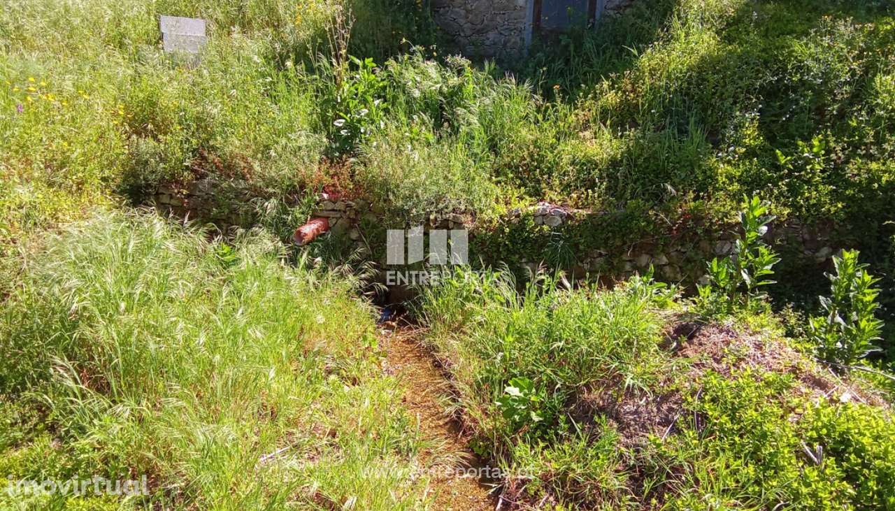 Terreno para venda, Cristelo, Caminha - Grande imagem: 4/14