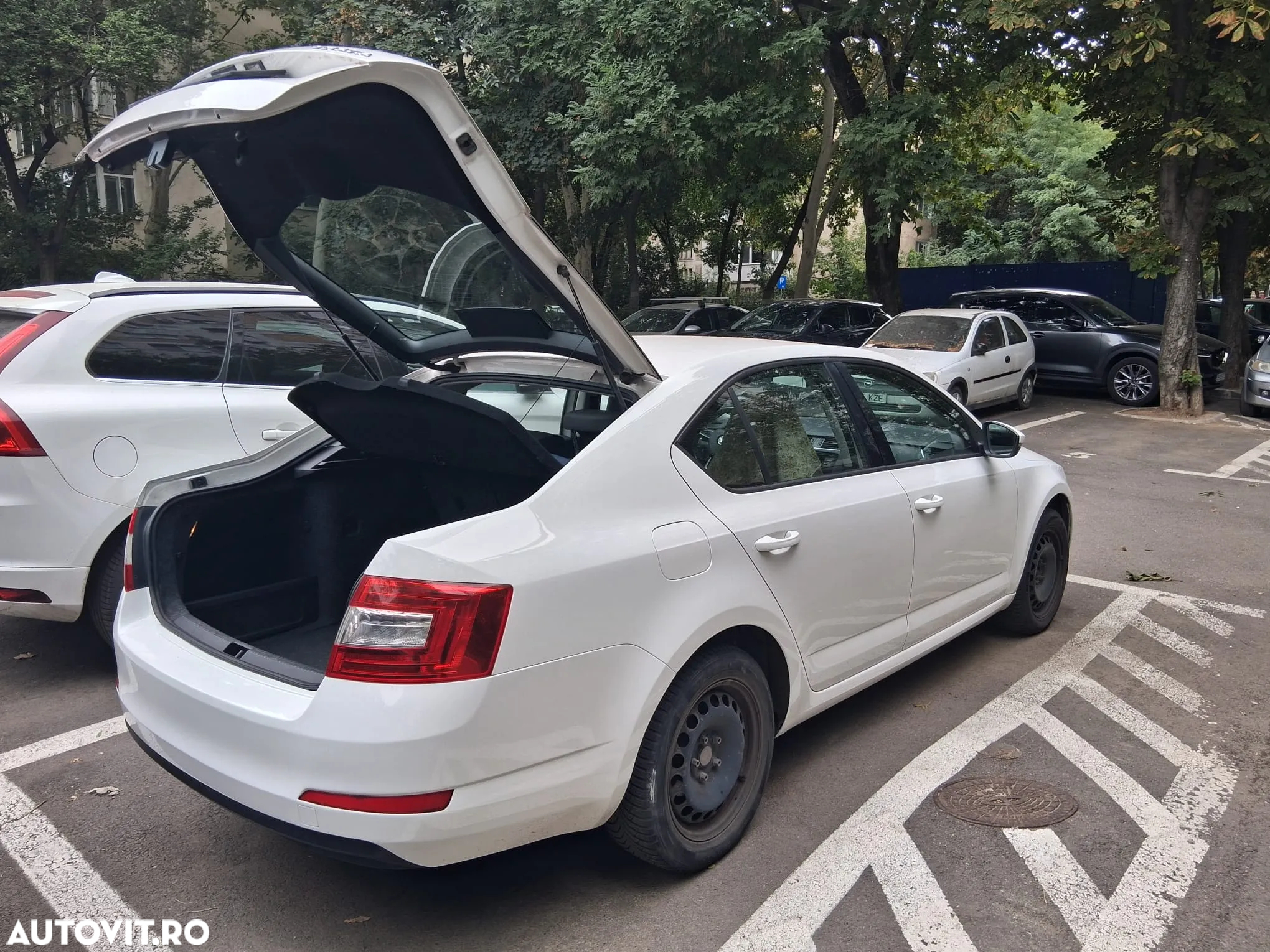 Skoda Octavia 1.4 TSI Ambition - 5