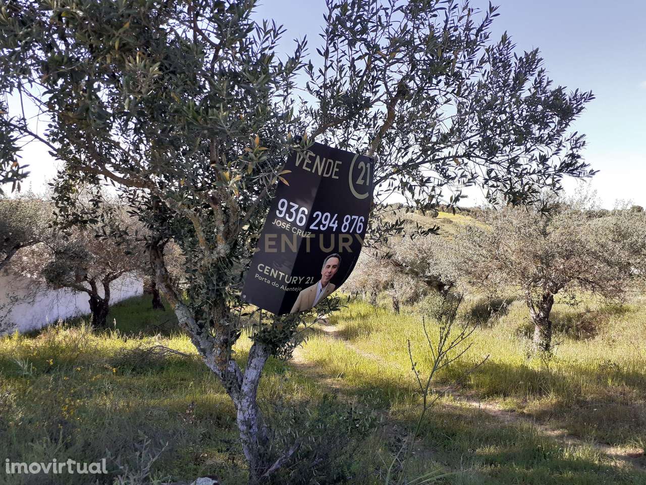 Terreno localizado no Corval - Grande imagem: 4/10