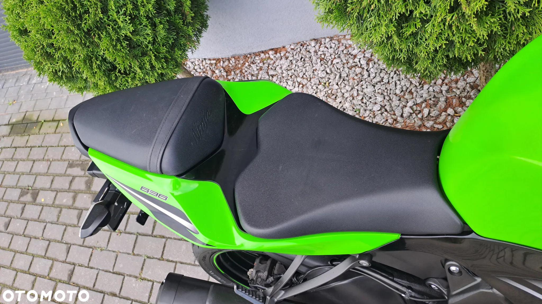 Kawasaki ZX - 25