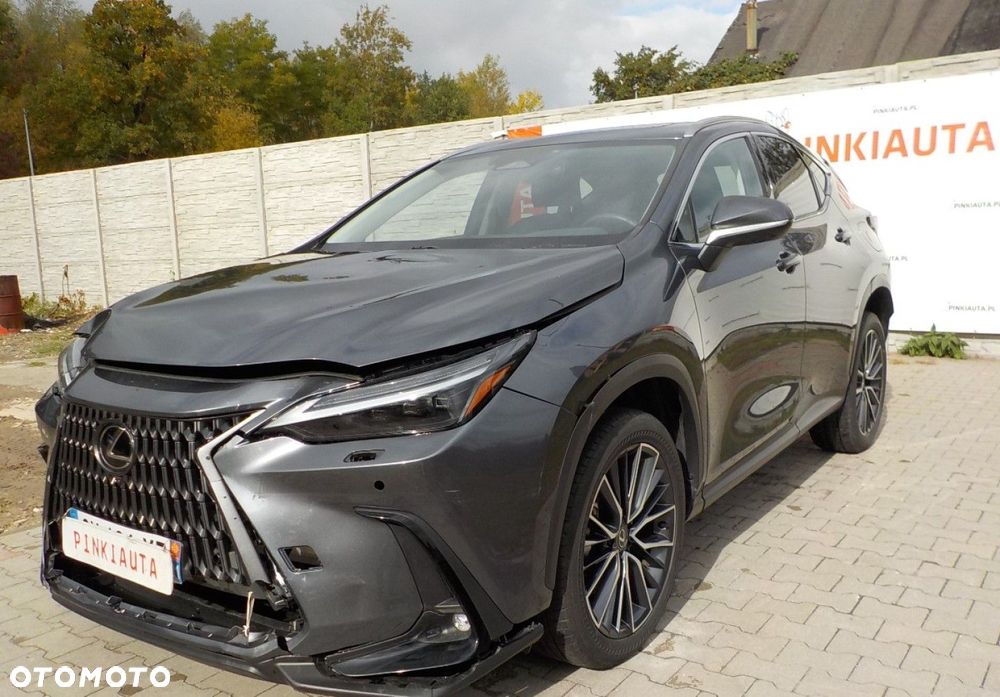 Lexus NX - 10