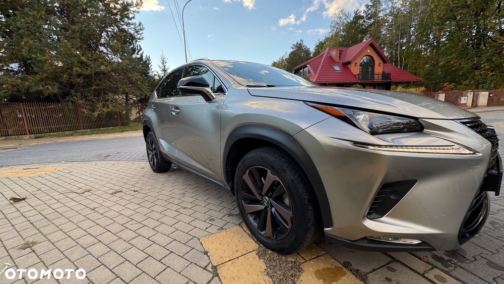 Lexus NX 300 Business Edition AWD - 7