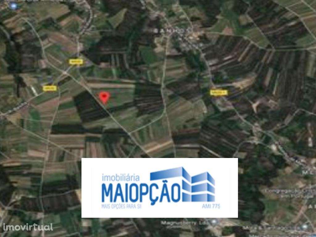 Terreno Rústico - Grande imagem: 4/4