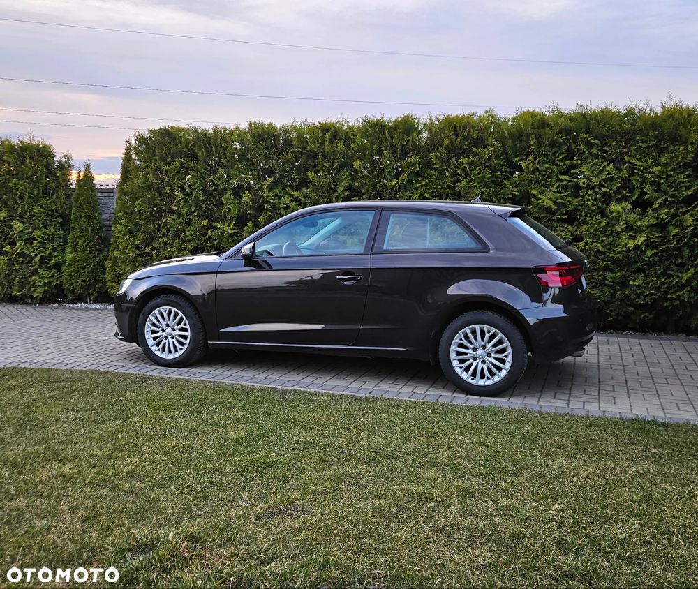 Audi A3 3-drzwiowe 1.6 TDI Attraction - 8