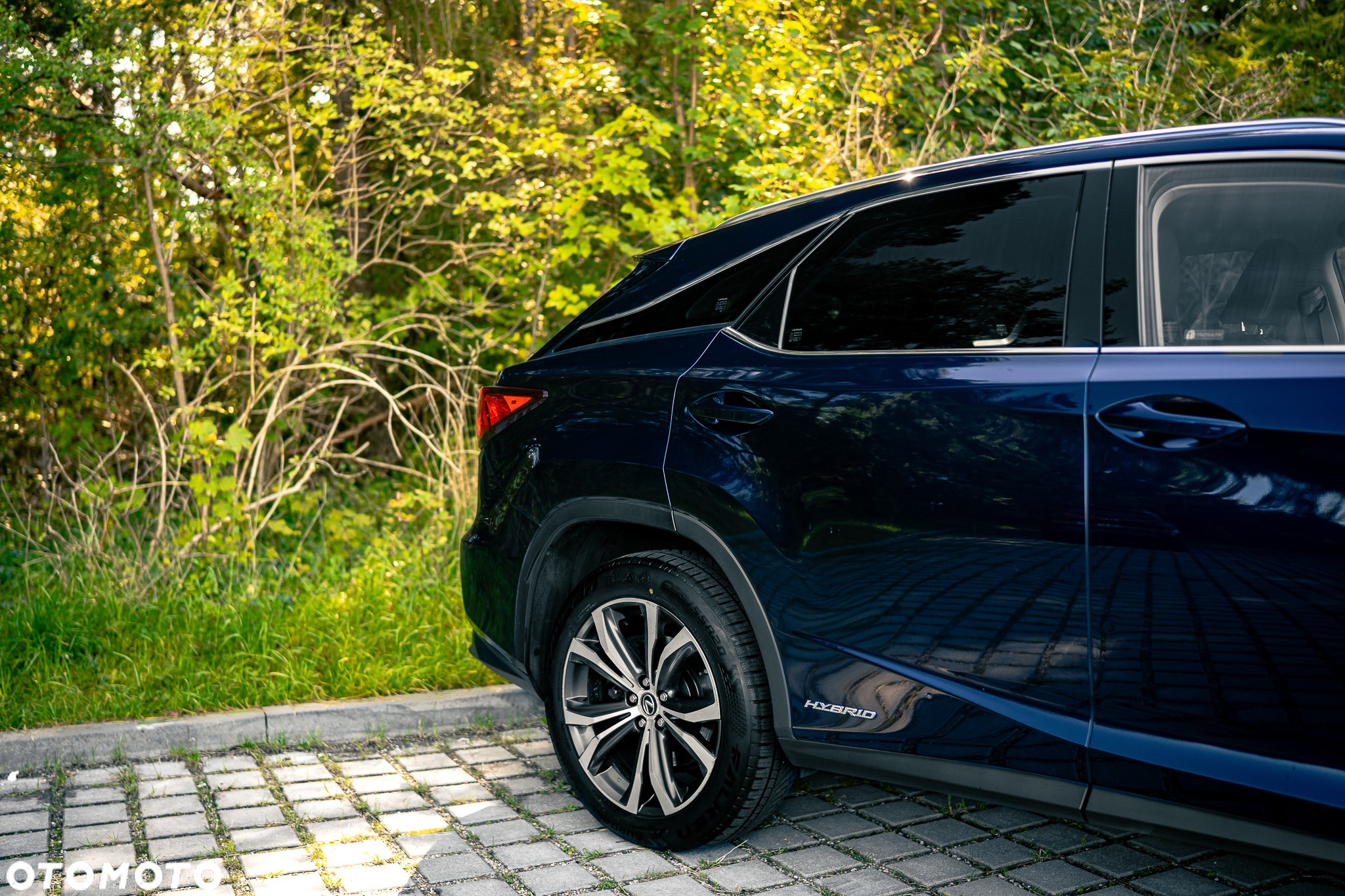 Lexus RX ver-450h-elegance - 3