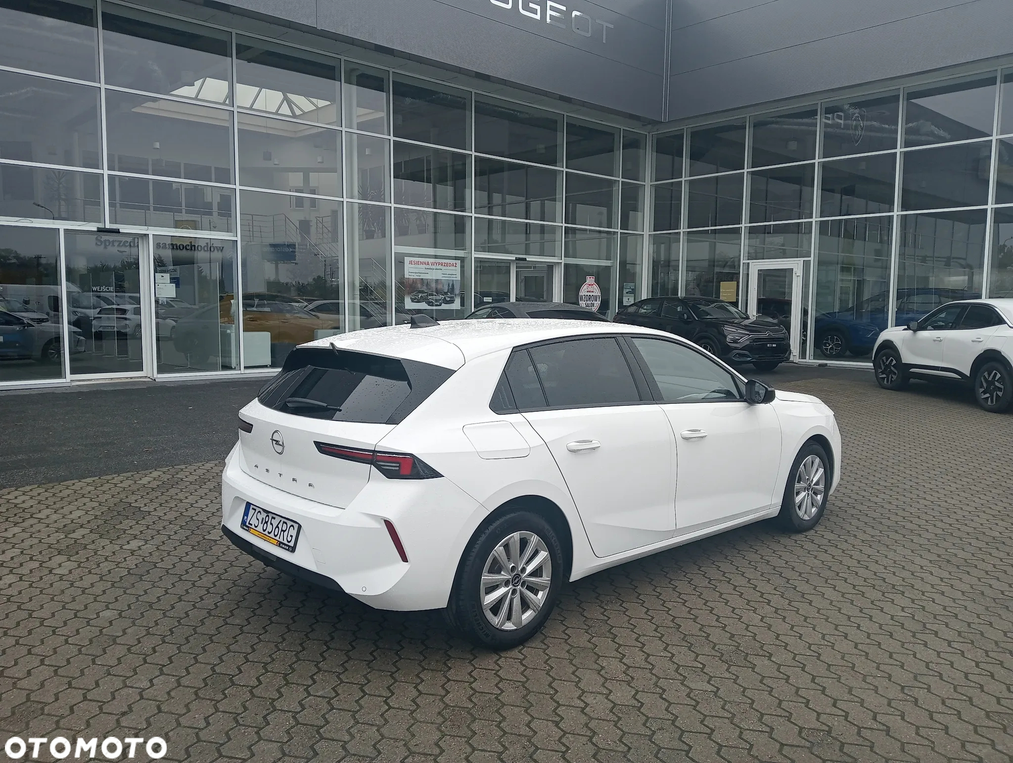 Opel Astra VI 1.2 T Business Edition S&S - 2